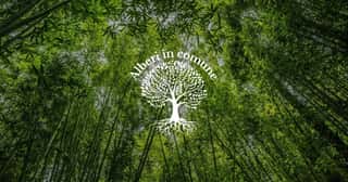 ALBERI IN COMUNE ODV