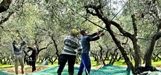 ASSOCIAZIONE ALLA GIORNATA ETS