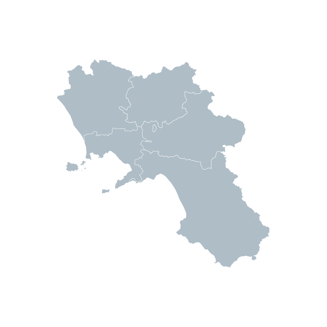 L'ALTRA NAPOLI - ENTE FILANTROPICO