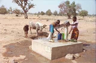 AMANI NYAYO ODV