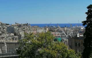 AMICI DELL'ORTO BOTANICO DELL'UNIVERSITA DI GENOVA ODV