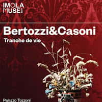 AMICI DELLA CERAMICA E DEL MIC APS