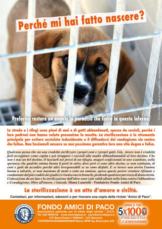 FONDO AMICI DI PACO - ODV
