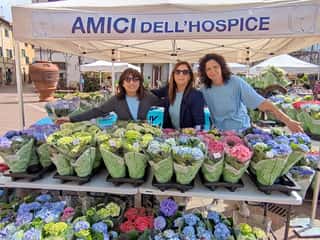 AMICI DELL'HOSPICE ODV