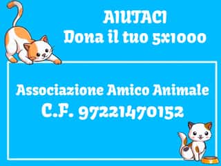 AMICO ANIMALE ODV ETS