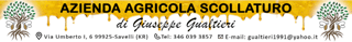 ASSOCIAZIONE LA GINESTRA APS