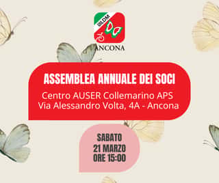 UILDM -UNIONE ITALIANA LOTTA ALLA DISTROFIA MUSCOLARE -SEZIONE DI ANCONA ORGANIZZAZIONE DI VOLONTARIATO