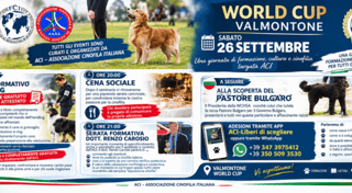 A.N.A.S. ASSOCIAZIONE NAZIONALE DI AZIONE SOCIALE A.P.S. - RETE ASSOCIATIVA