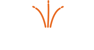 ANEMON AIUTARE NEL MONDO ODV