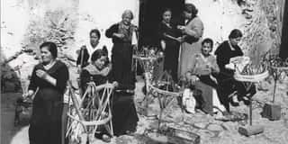 ASSOCIAZIONE CULTURALE ANIMULA APS