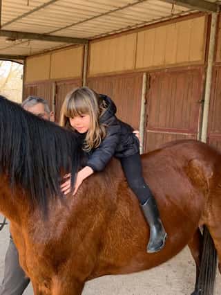 ANIMAEQUINA APS
