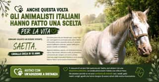 ASSOCIAZIONE ANIMALISTI ITALIANI ETS