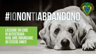 ASSOCIAZIONE NAZIONALE PROTEZIONE ANIMALI NATURA ED AMBIENTE GUARDIE ECOLOGICHE PROTEZIONE ANIMALE