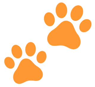 ASSOCIAZIONE NAZIONALE TUTELA ANIMALI -  SEZIONE  ANCONA - ORGANIZZAZIONE DI VOLONTARIATO