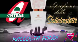 ASSOCIAZIONE NAZIONALE TERZA ETA' ATTIVA PER LA SOLIDARIETA' (ANTEAS GALLURA) ODV