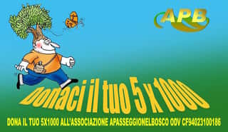 APB - ASSOCIAZIONE A PASSEGGIO NEL BOSCO ODV