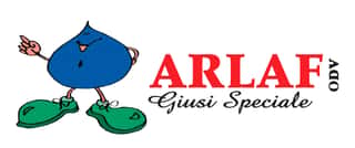 ARLAF GIUSI SPECIALE ASSOCIAZIONE ROMANA E LAZIALE PER L'AFFIDAMENTO FAMILIARE VITERBO ODV