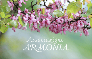 ARMONIA PER LO STUDIO E LO SVILUPPO DELLA PERSONA APS