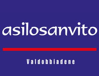 FONDAZIONE ASILOSANVITO ETS