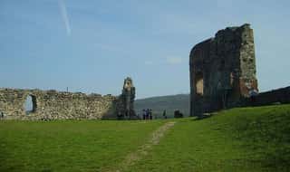 ASSOCIAZIONE ARCHEOLOGICA AVIGLIANESE ODV