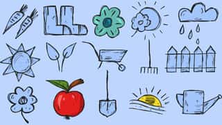 ASSOCIAZIONE ITALIANA FAMIGLIE ADHD APS