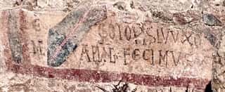 ASSOCIAZIONE INTERNAZIONALE PROGETTI ULISSE PER LO SVILUPPO SOSTENIBILE ODV