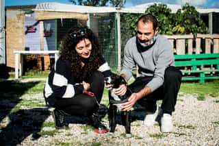 A.S.P.A. ANGUILLARA SABAZIA PROTEZIONE ANIMALI - ODV