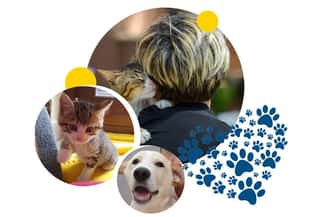 A.S.T.A. - ASSOCIAZIONE  PER LA SALUTE E TUTELA ANIMALI ODV
