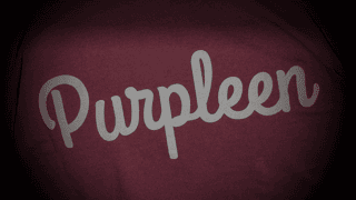 ASSOCIAZIONE PURPLEEN APS