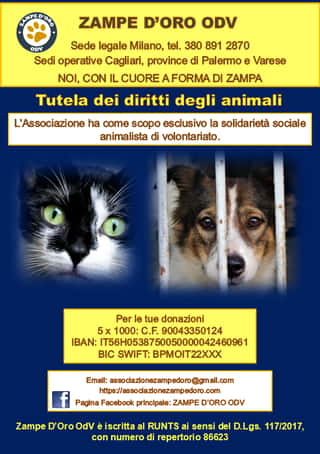 ASSOCIAZIONE ZAMPE D'ORO ODV