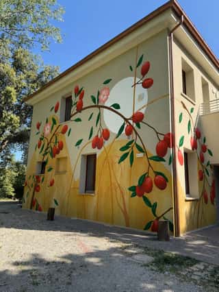 ZOE ASSOCIAZIONE DI PROMOZIONE SOCIALE