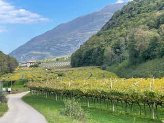 ASSOCIAZIONE BIODISTRETTO DELLA VALLE DEI LAGHI ETS
