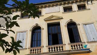 FONDAZIONE PER LE MALATTIE RARE MAURO BASCHIROTTO BIRD - ETS