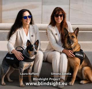 BLINDSIGHT PROJECT