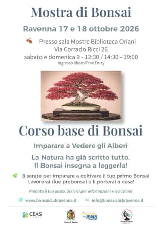 BIZANTINA BONSAI RAVENNA APS
