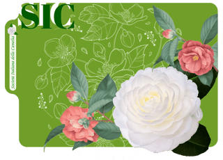 SOCIETA' ITALIANA DELLA CAMELIA APS