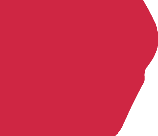 ASSOCIAZIONE ZOOFILI CREMONESI ODV