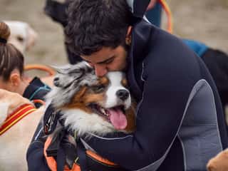 SCUOLA CANI SALVATAGGIO FIRENZE