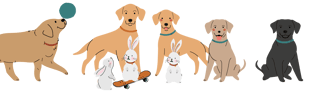 ASSOCIAZIONE CAVE CANEM ETS