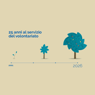 CENTRO SERVIZI PER IL VOLONTARIATO DI MESSINA ETS