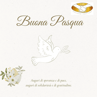 ASSOCIAZIONE CHICCA RAINA ASSISTENZA DOMICILIARE CURE PALLIATIVE ETS ODV