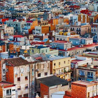 C.I.C.S.E.N.E
