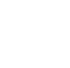 ASSOCIAZIONE NAZIONALE CITY ANGELS ITALIA ODV