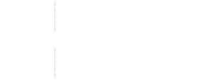 DIACONIA SOCIETA' COOPERATIVA SOCIALE A R.L.