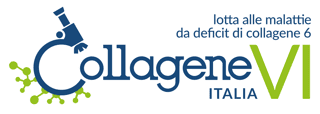 COLLAGENE VI ITALIA APS