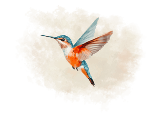 ASSOCIAZIONE COLIBRI' ODV