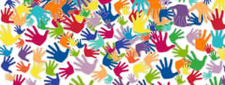 ASSOCIAZIONE COMPAGNI DI VIAGGIO ORGANIZZAZIONE DI VOLONTARIATO