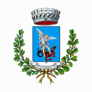 GRUPPO COMUNALE DI VOLONTARIATO DI PROTEZIONE CIVILE DI MORRO D'ALBA ETS