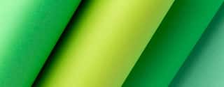 CONSAAMBIENTE REGIONALE SICILIA - DIFESA CONSUMATORI ANIMALI AMBIENTE - APS