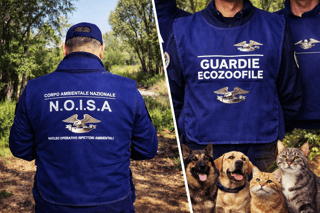 CORPO AMBIENTALE NAZIONALE - ORGANIZZAZIONE DI VOLONTARIATO